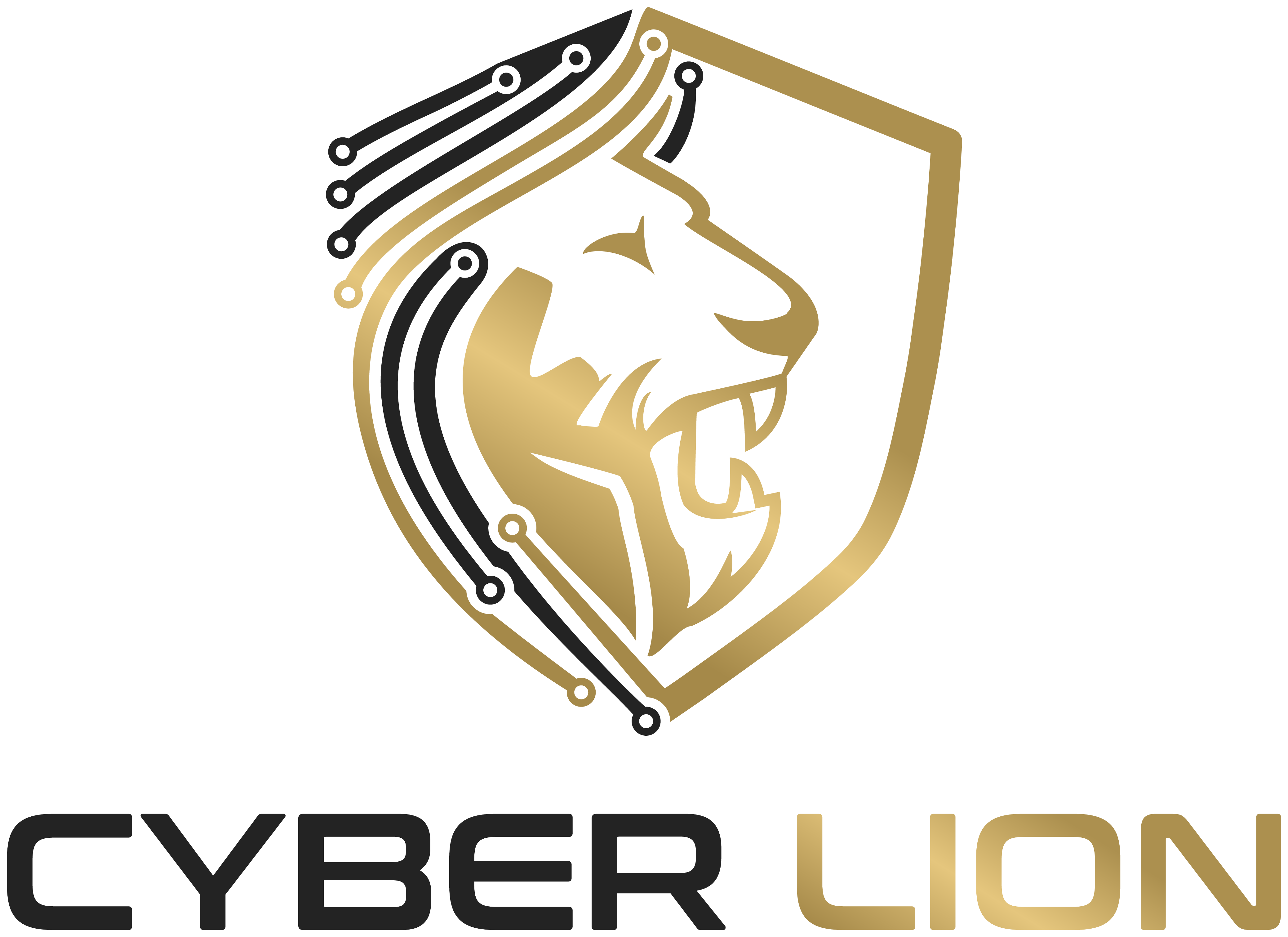 Leonnes Cybersecurity